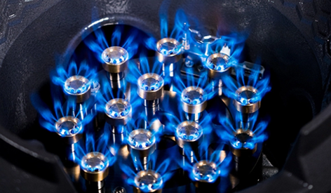 Domestic Gas Stove